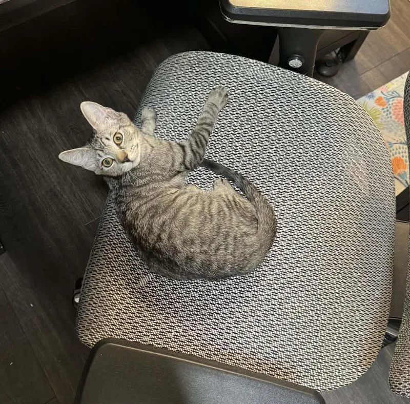 Charlotte Paschall thumbnail 3