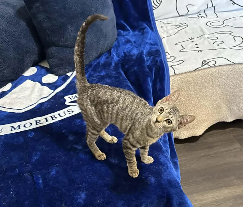 Charlotte Paschall thumbnail 4