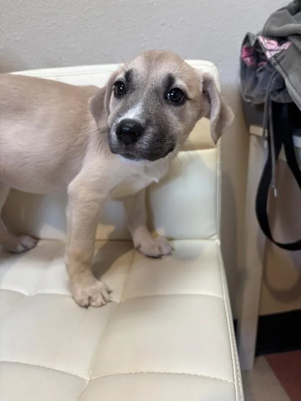 Christina Waguilera thumbnail 2