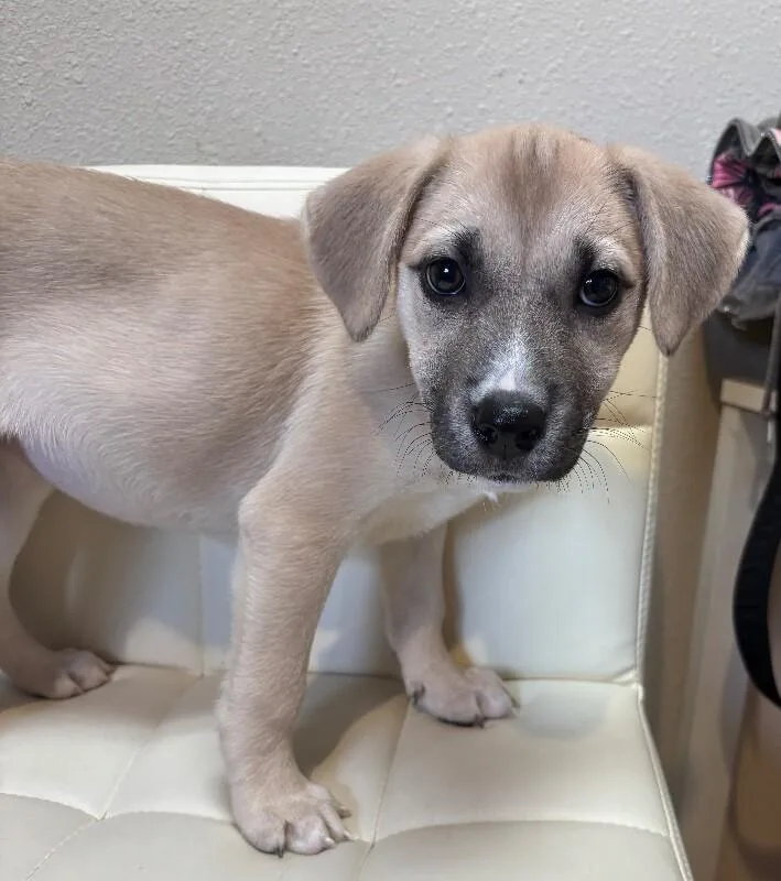 Christina Waguilera thumbnail 3