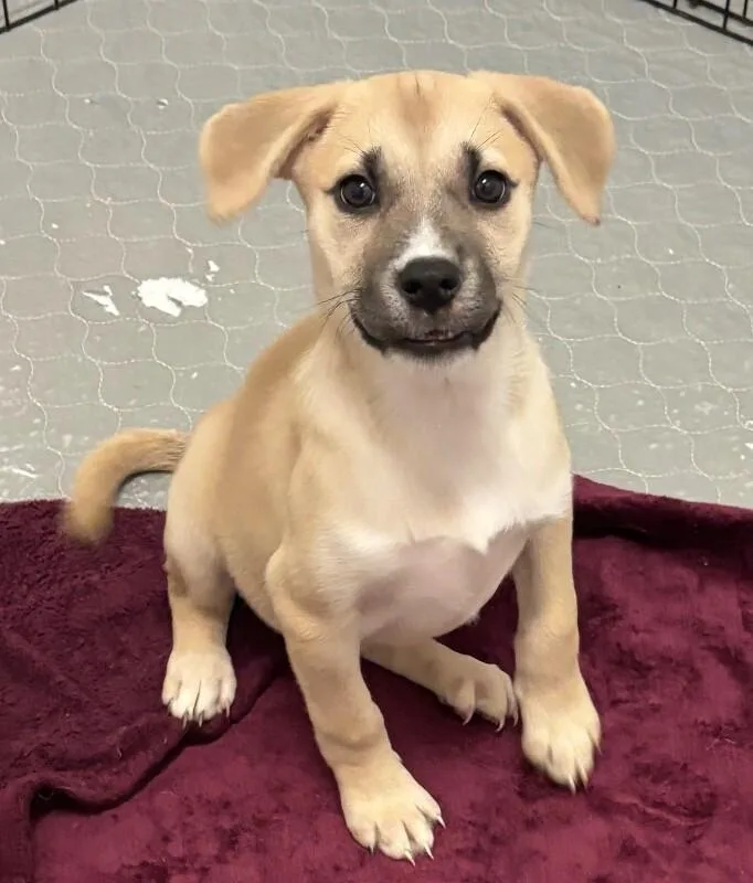 Christina Waguilera thumbnail 4