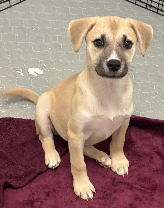 Christina Waguilera thumbnail 5