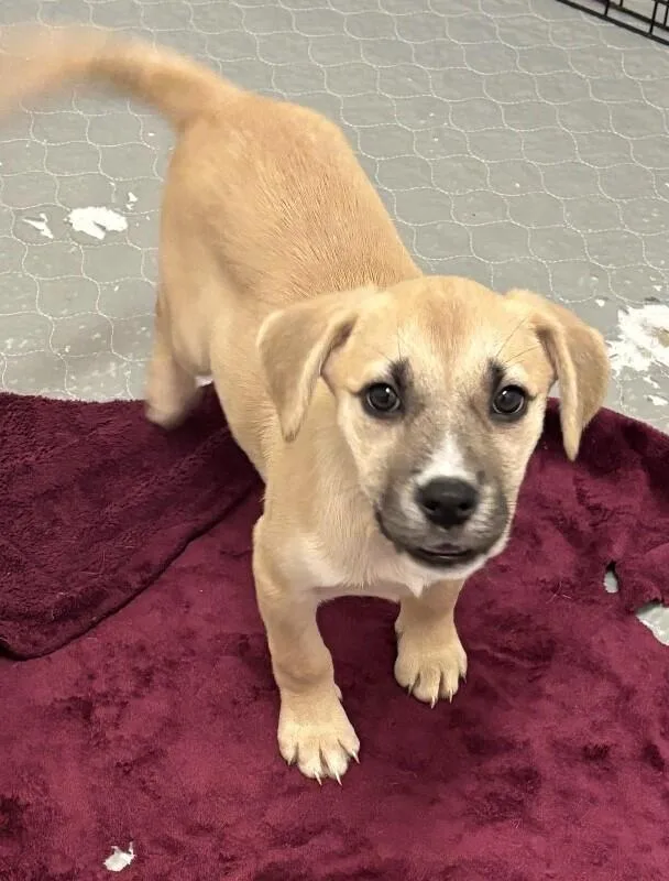 Christina Waguilera thumbnail 6