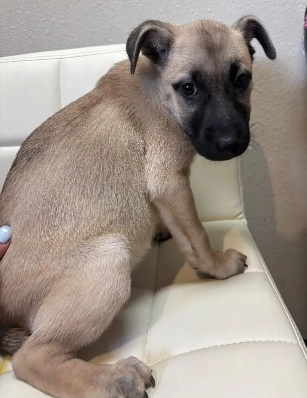 Ariana Grrrande thumbnail 2