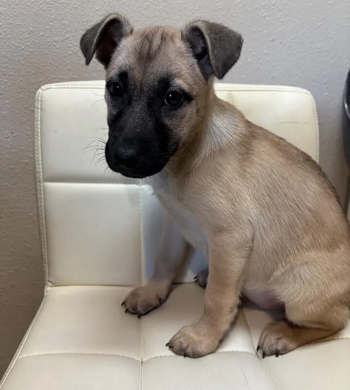 Ariana Grrrande thumbnail 3