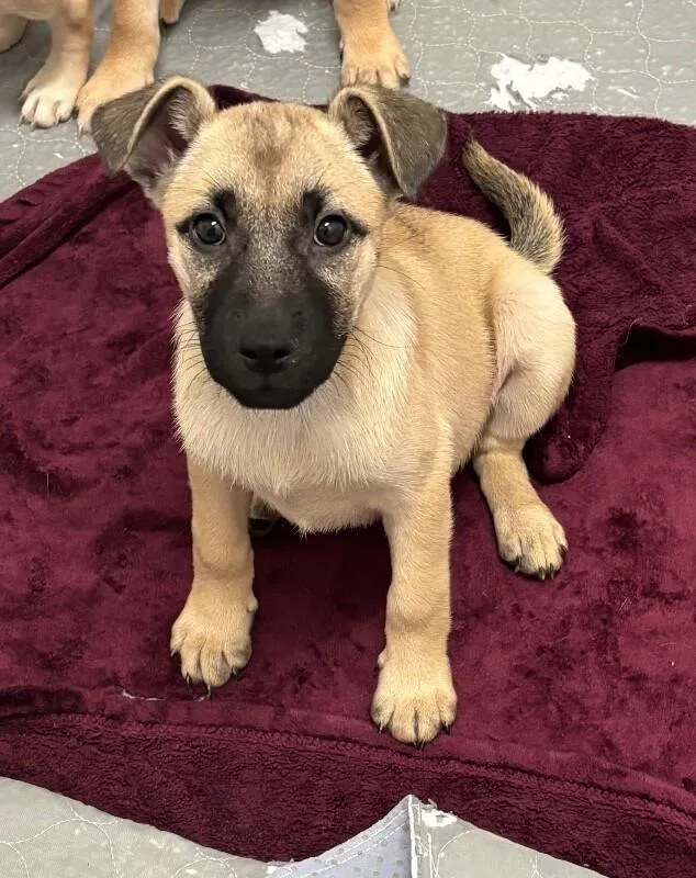 Ariana Grrrande thumbnail 5