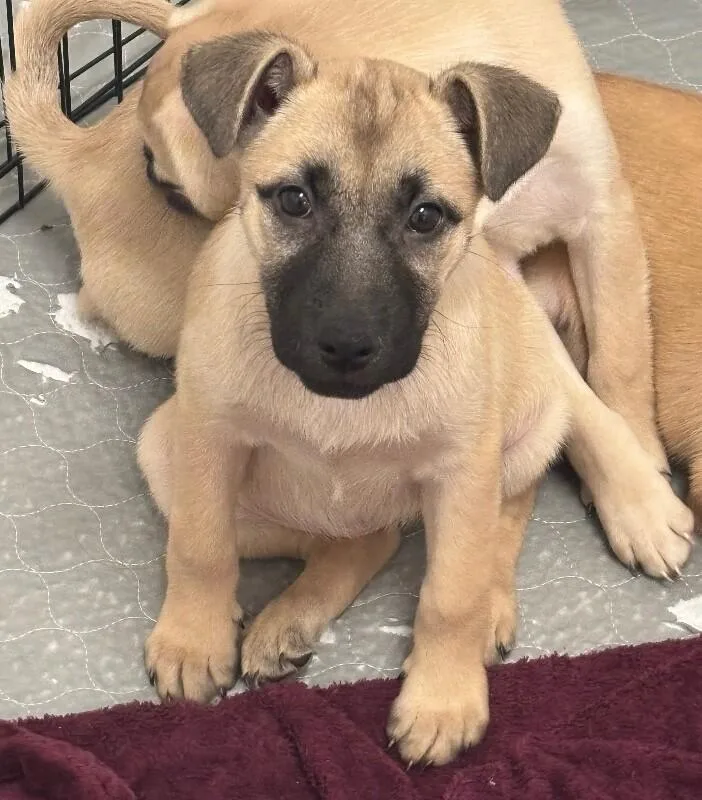 Ariana Grrrande thumbnail 6