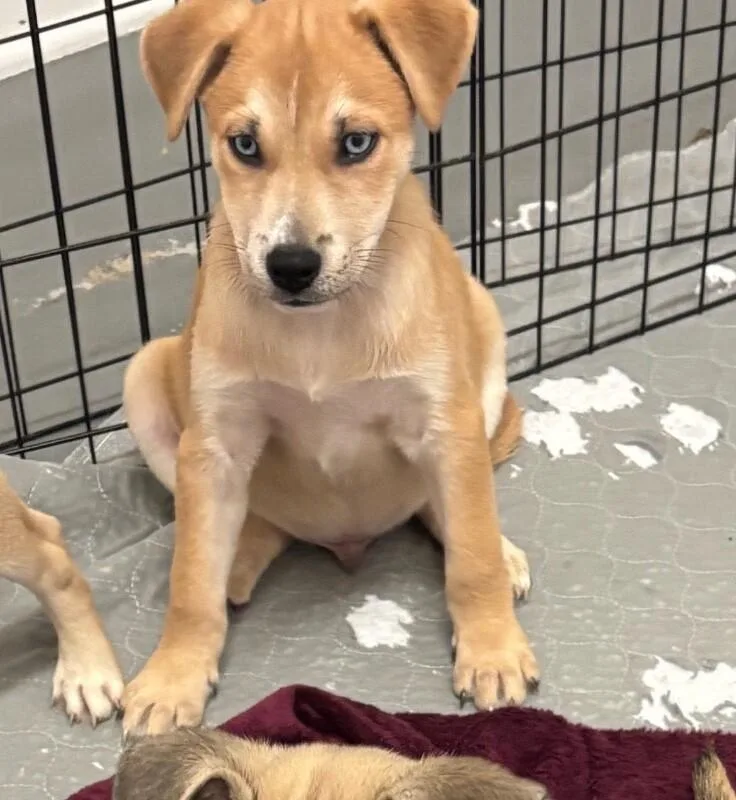 Ricky Barkin thumbnail 2