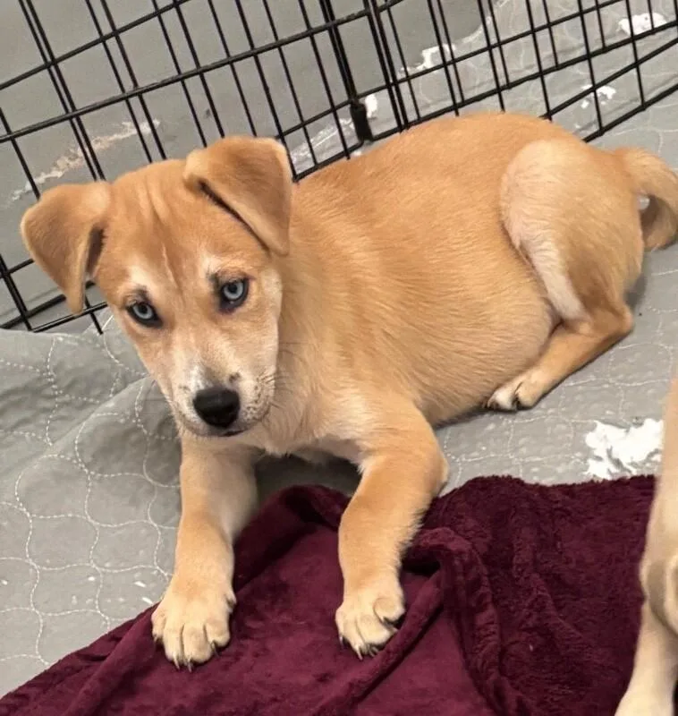 Ricky Barkin thumbnail 3