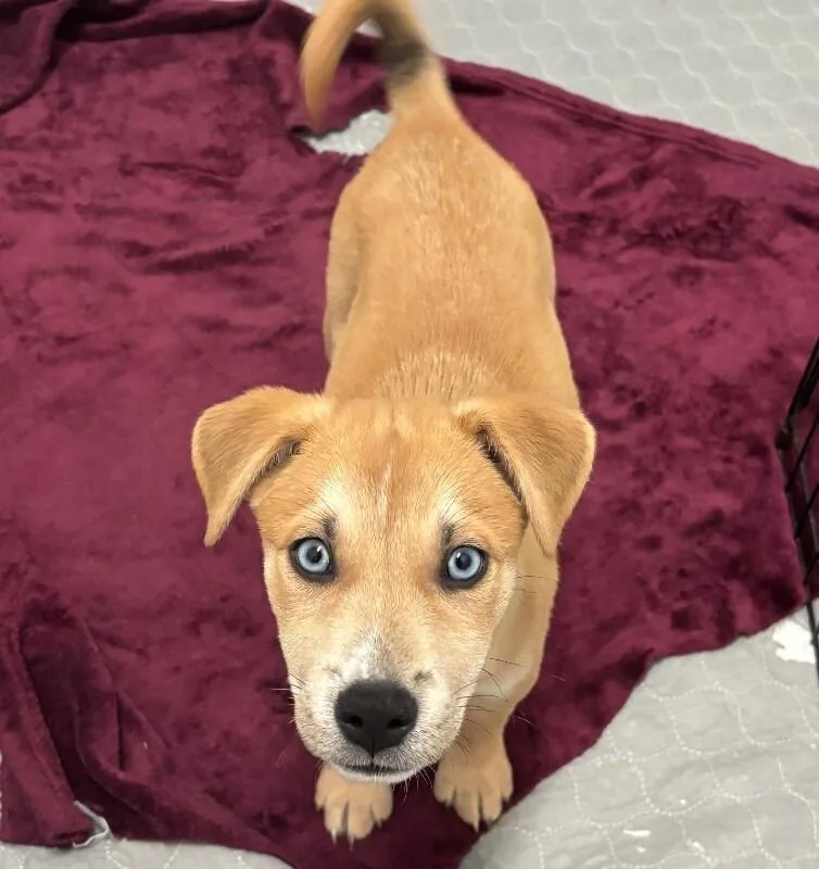 Ricky Barkin thumbnail 4