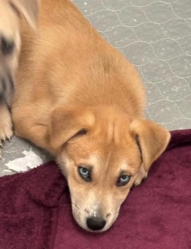 Ricky Barkin thumbnail 5