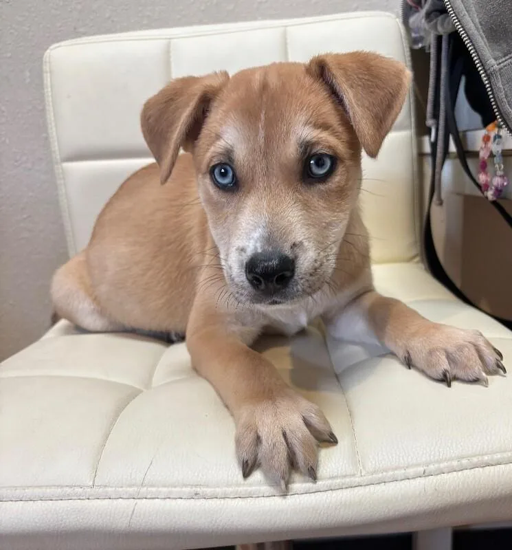 Ricky Barkin thumbnail 6