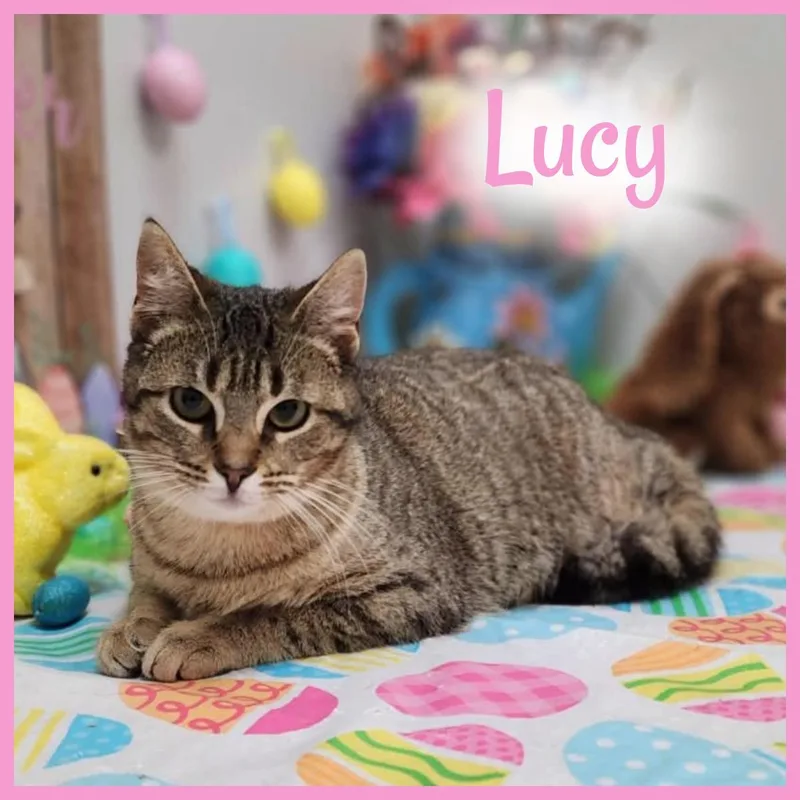 Lucy