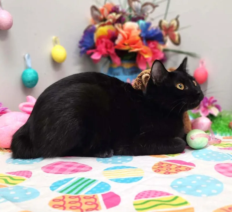 Wednesday thumbnail 2