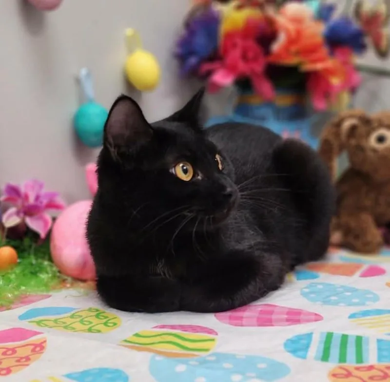 Wednesday thumbnail 3