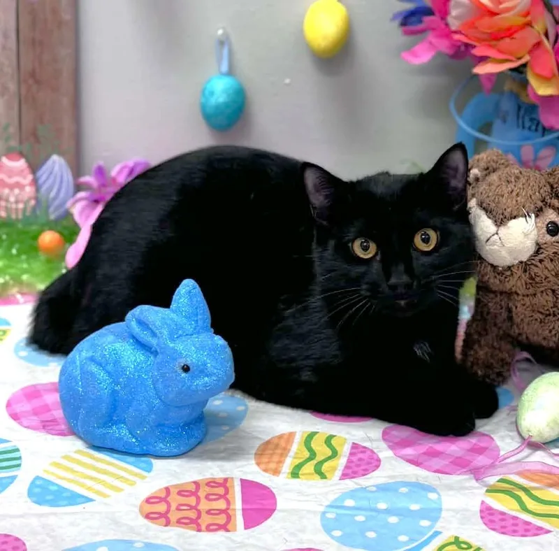 Wednesday thumbnail 4