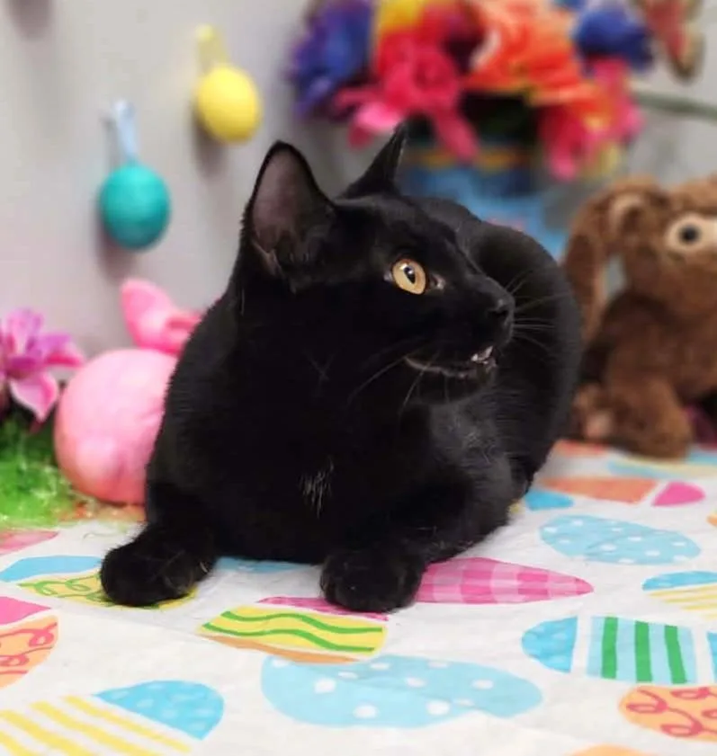 Wednesday thumbnail 5