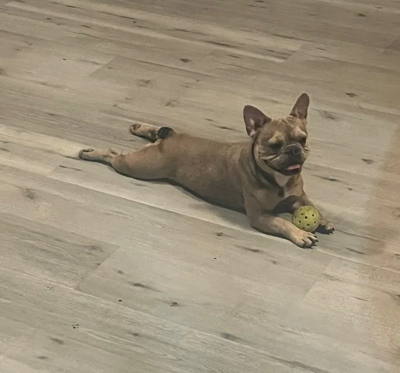 Tinkerbell thumbnail 5