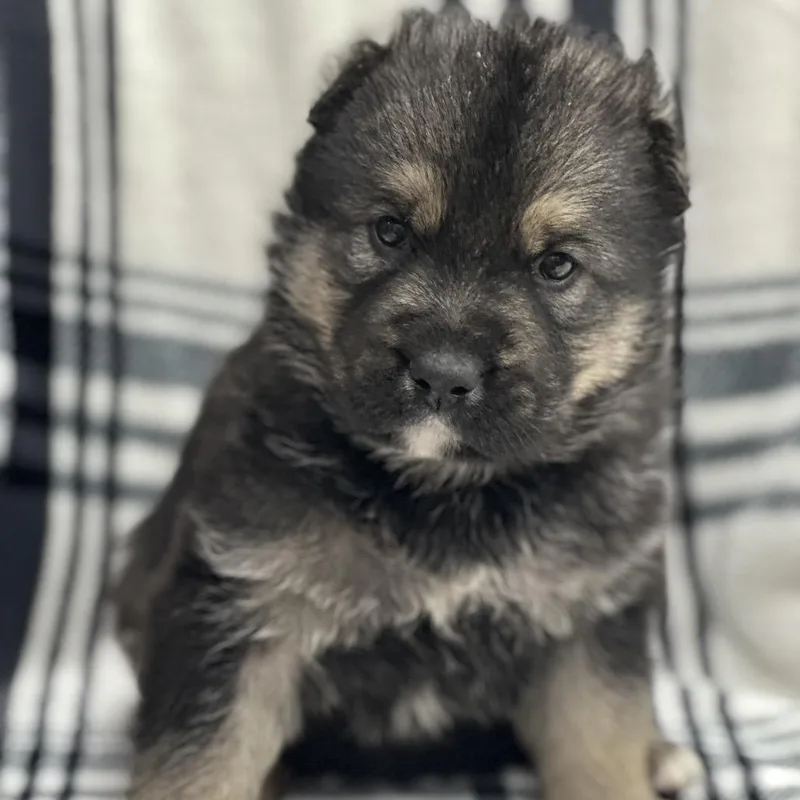 Ocean Breeze thumbnail 2