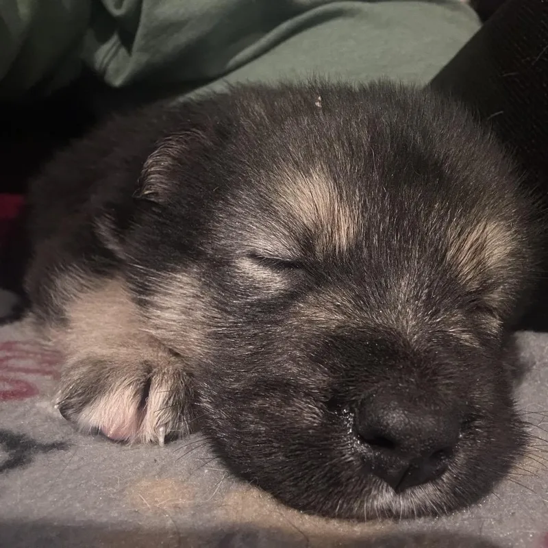 Ocean Breeze thumbnail 3