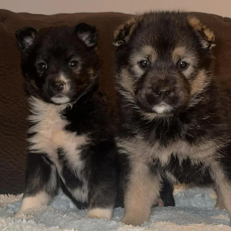 Ocean Breeze thumbnail 4