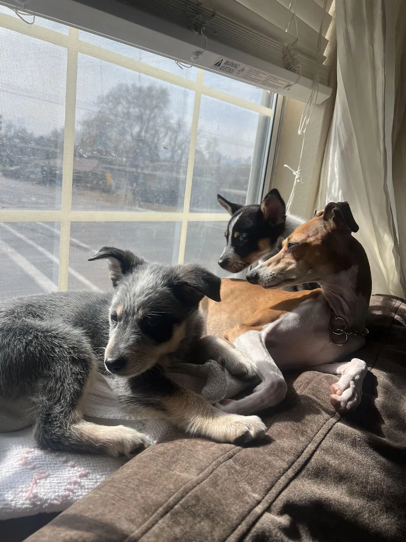 Baby Billy thumbnail 3