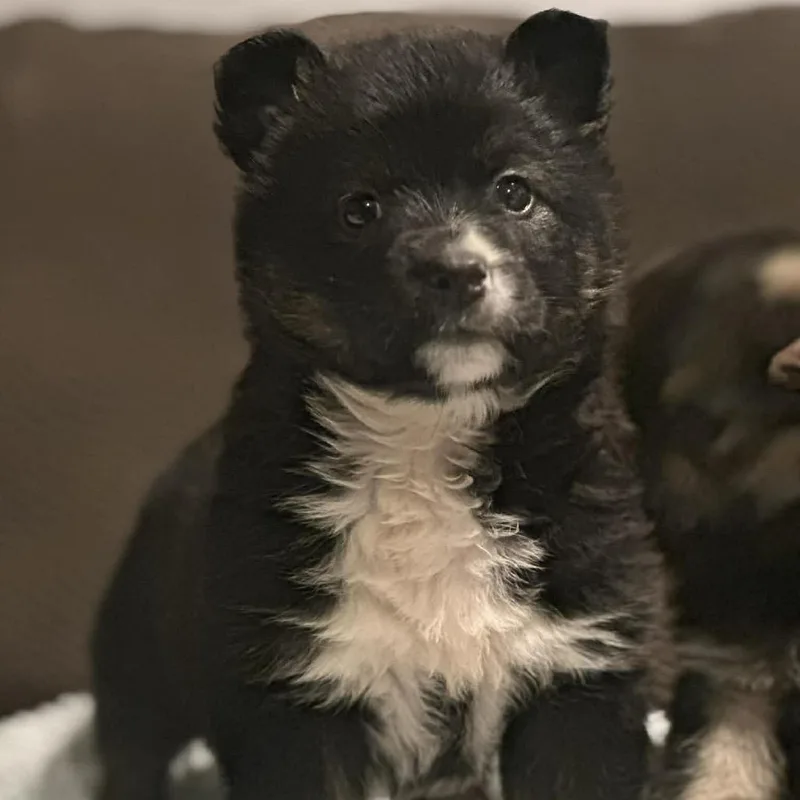 Brew Lagoon thumbnail 2