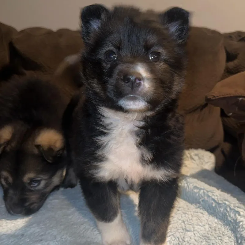 Brew Lagoon thumbnail 3