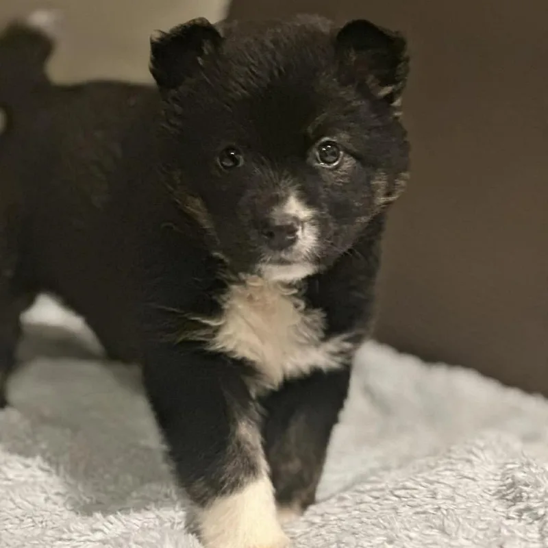 Brew Lagoon thumbnail 4