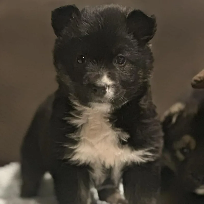 Brew Lagoon thumbnail 5