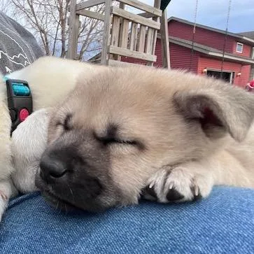 Polliwog thumbnail 3