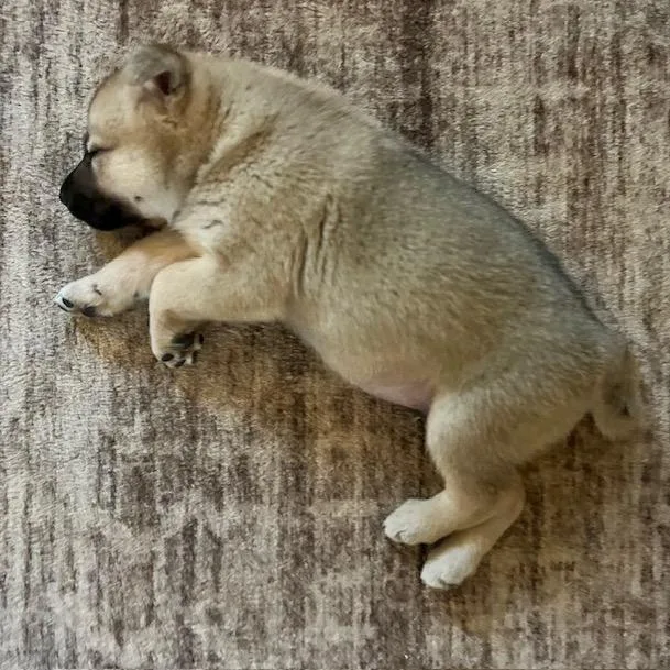 Polliwog thumbnail 5