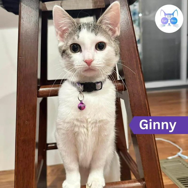 Ginny