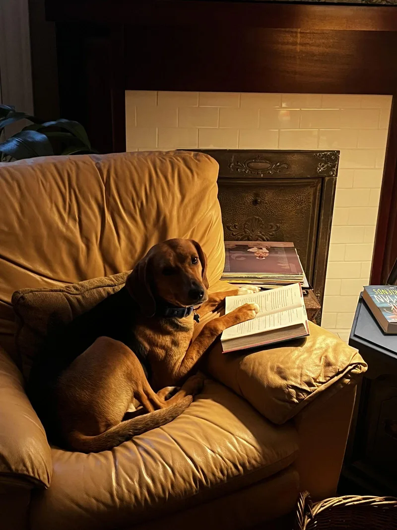 Traveler thumbnail 2