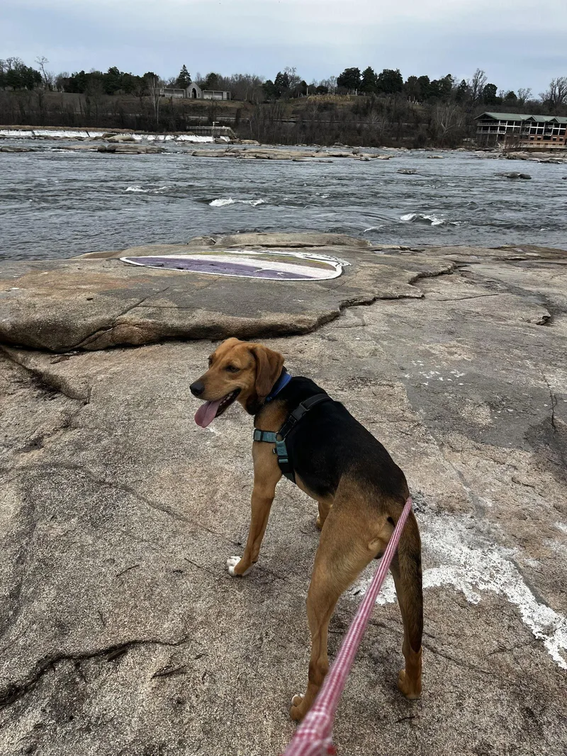 Traveler thumbnail 3