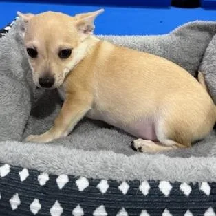 Hunter Powell thumbnail 2