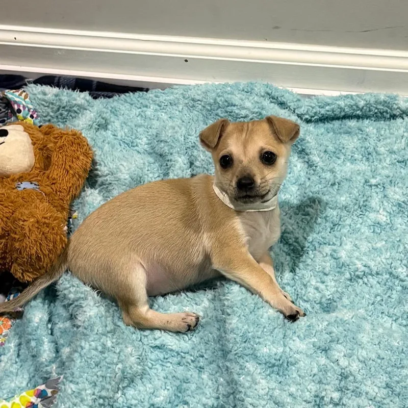 Hunter Powell thumbnail 3