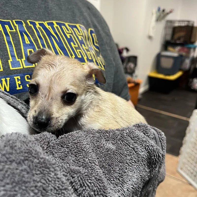 Hunter Powell thumbnail 4