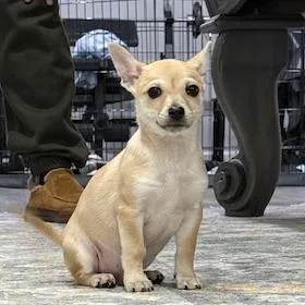 Hunter Powell thumbnail 5