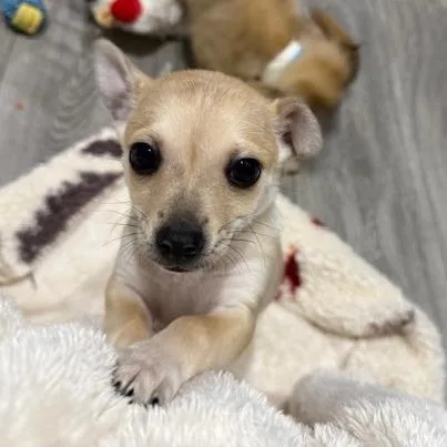 Hunter Powell thumbnail 6