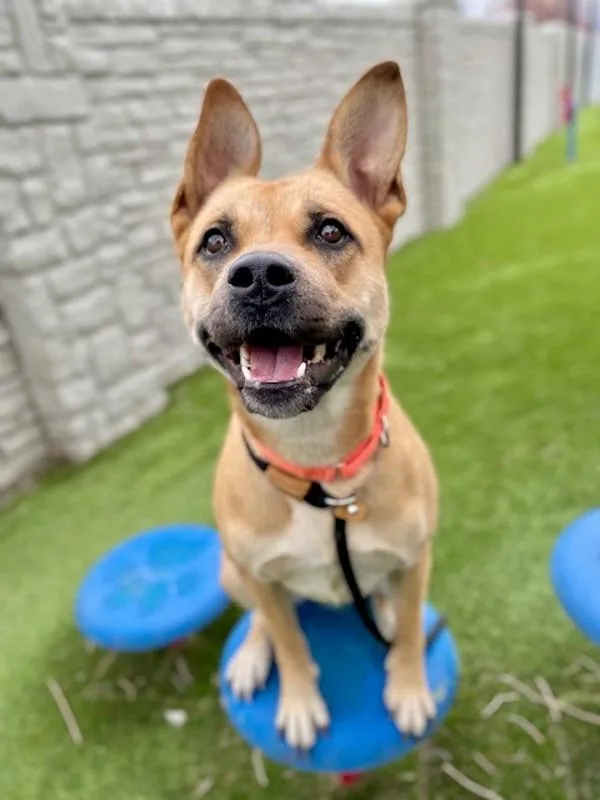 Persephone thumbnail 2