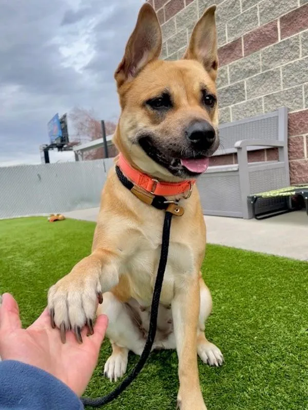 Persephone thumbnail 3