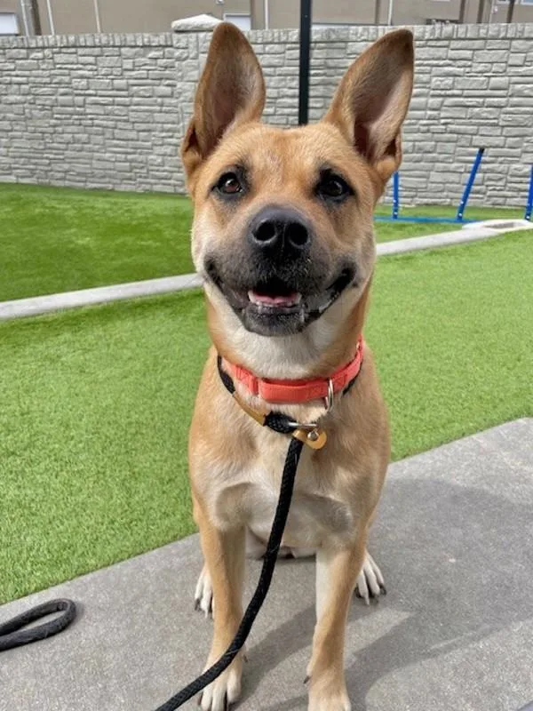 Persephone thumbnail 5