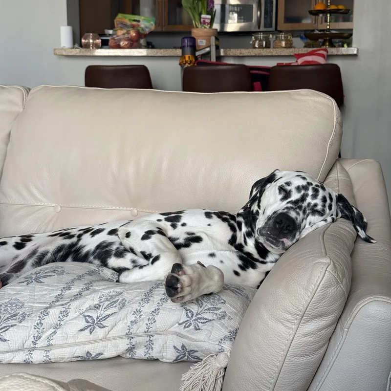 Pongosan Jose  Ca thumbnail 2