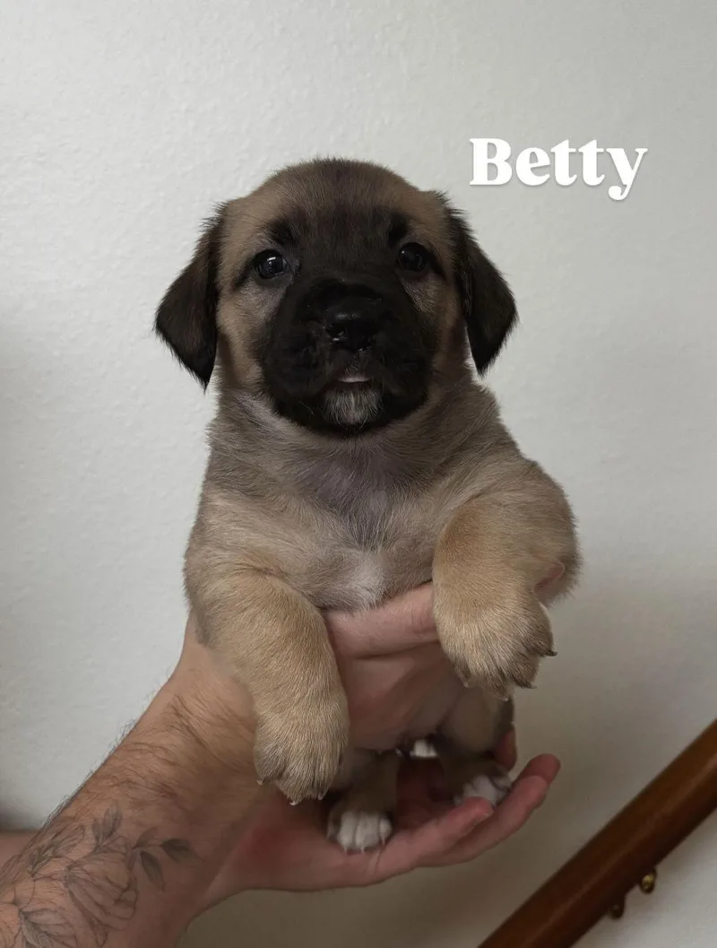 Betty