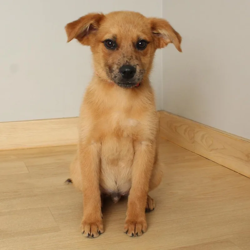 Frecks D thumbnail 2