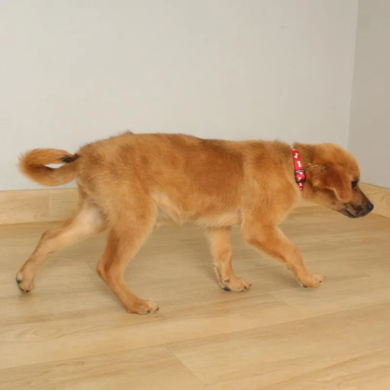 Frecks D thumbnail 6