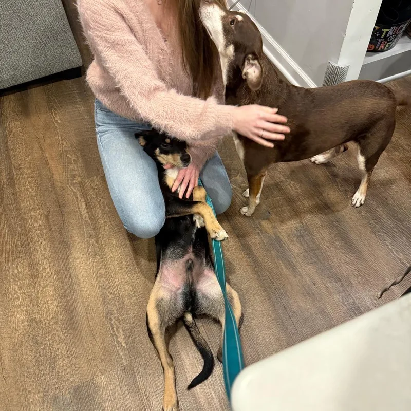 Hunter D thumbnail 2