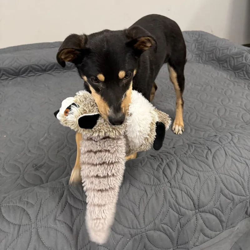 Hunter D thumbnail 6