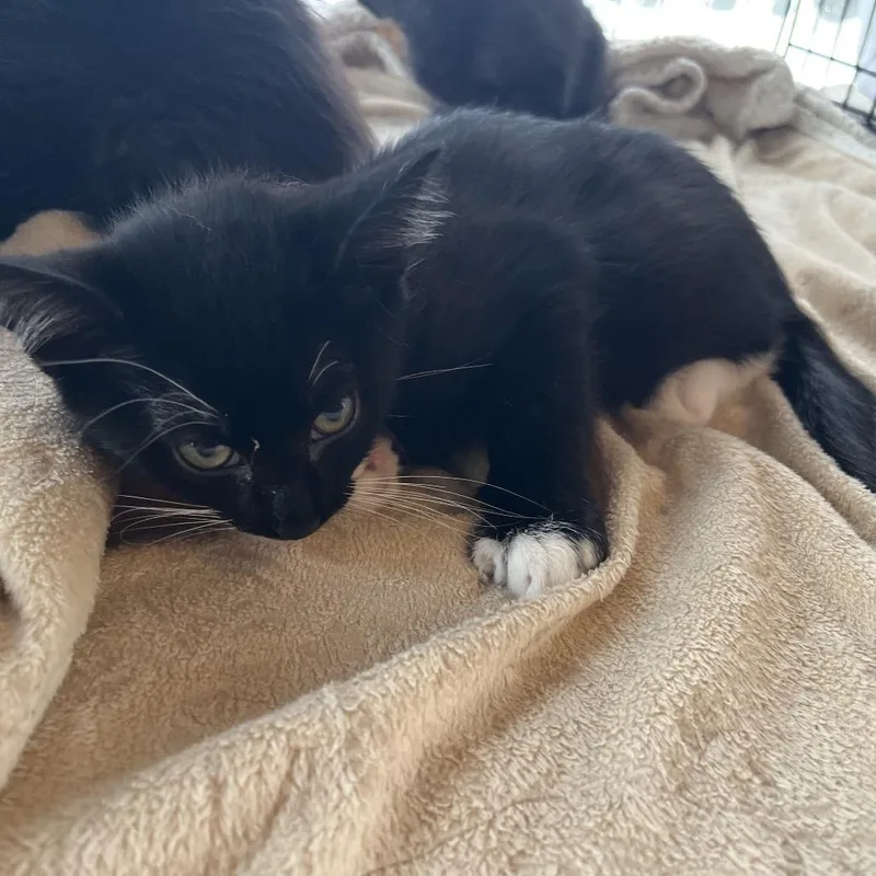 Luke Combs thumbnail 2